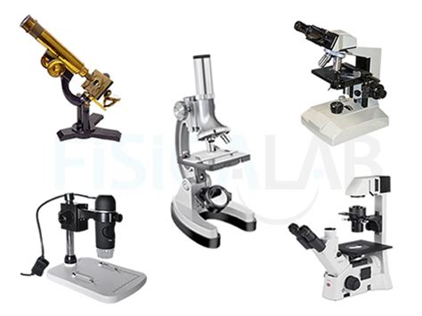 Escudriñar Europa oportunidad tipos de microscopios y para que sirven