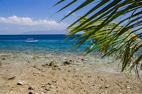 Ultimate Puerto Galera, Philippines Guide: Diving & Beaches