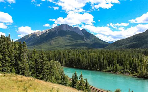 Protecting Canadian Forests from Invasive Species