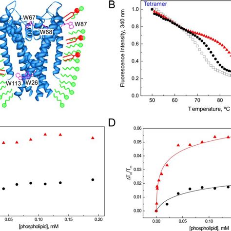 Binding Of Lipids To Kcsa Followed By The Protein Thermal Denaturation