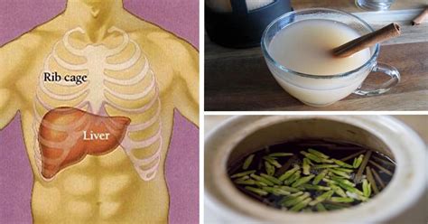 8 Nighttime Teas For Quick Liver Detoxing And Fat Burning