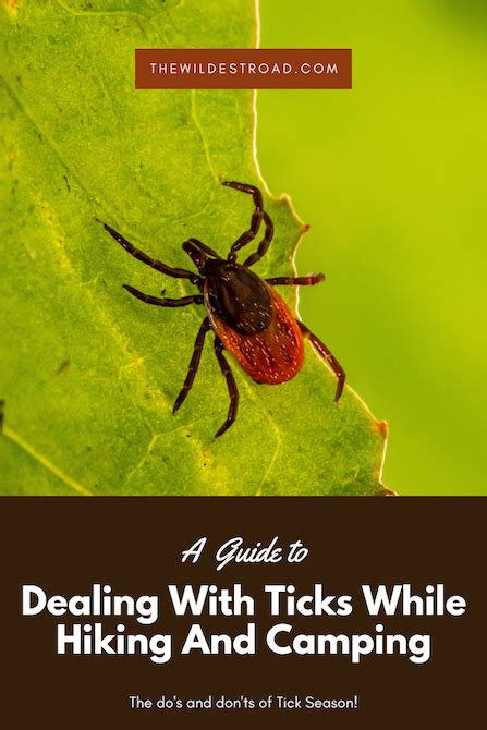 Dealing With Ticks While Hiking And Camping It S Tick Season The