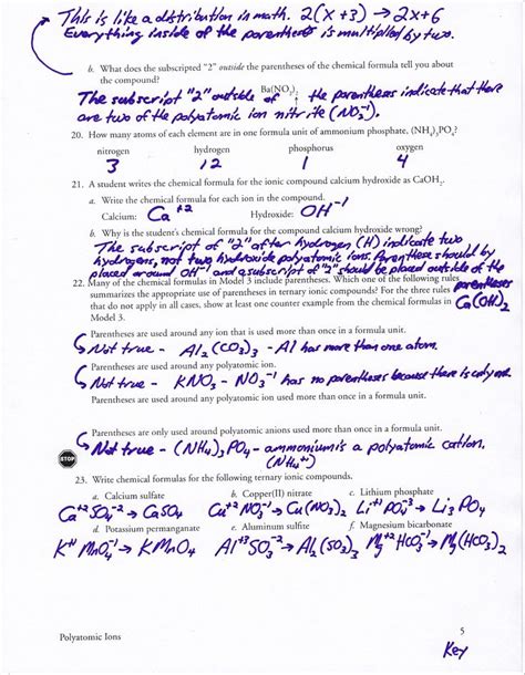 Pogil Answer Key Acids And Bases Meiosis Pogil Worksheet Ans