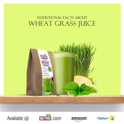 Nutritional Facts About Wheat Grass Juice Nattfru