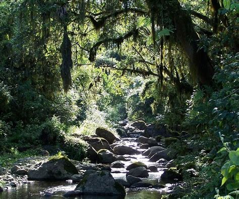 Parque Nacional Aconquija Tesoro De Flora Y Fauna En Tucum N Teleflor