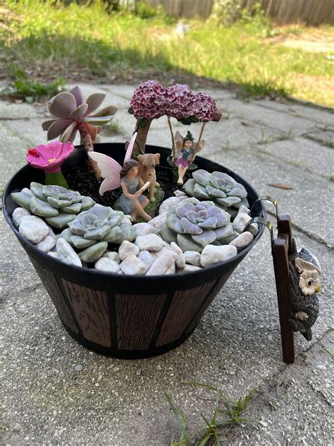 My New Little Fairy Garden 💕 R Fairygardens