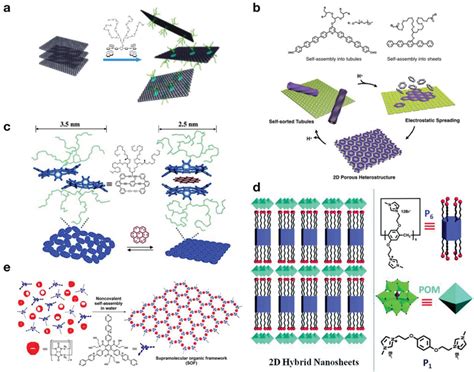 Schematic Representation Of Construction Of Supramolecular 2D