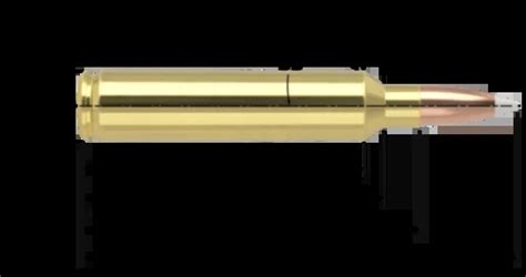 30 Nosler Vs 300 Win Mag Ballistics And Uses Gun Mann