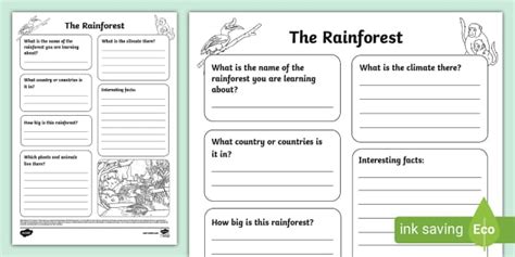 Rainforest Fact File Template Hecho Por Educadores