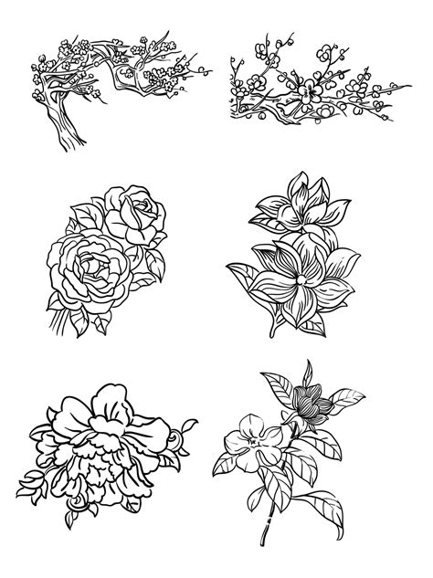 realistic hand drawing  plant set plum blossom flowers plant png