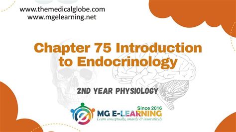 Introduction To Endocrinology Chapter 75 Endocrinology And