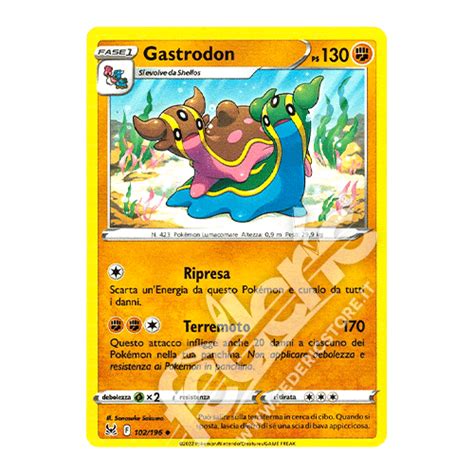 102 196 Gastrodon Non Comune IT MINT Federicstore