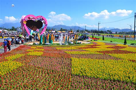 賞花民眾看過來！新社花海平日加開「櫻木花道線」接駁 Ettoday旅遊雲 Ettoday新聞雲