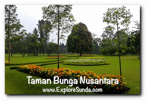 Taman Bunga Nusantara | The Best Garden in Cipanas, Puncak