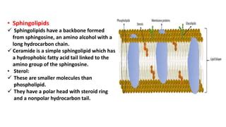 plasmamembrane.pptx