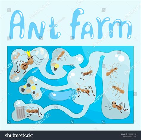 Ant Farm Set Ants Life Insects Stock Vector (Royalty Free) 1306207612 ...