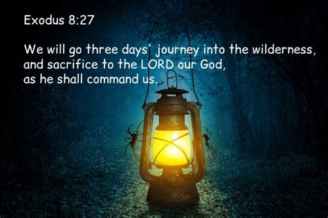 Bible Verses About Dark Times Kjv