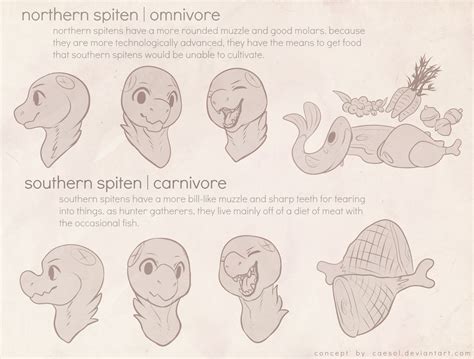 Spiten Muzzle Types by Caesol on DeviantArt