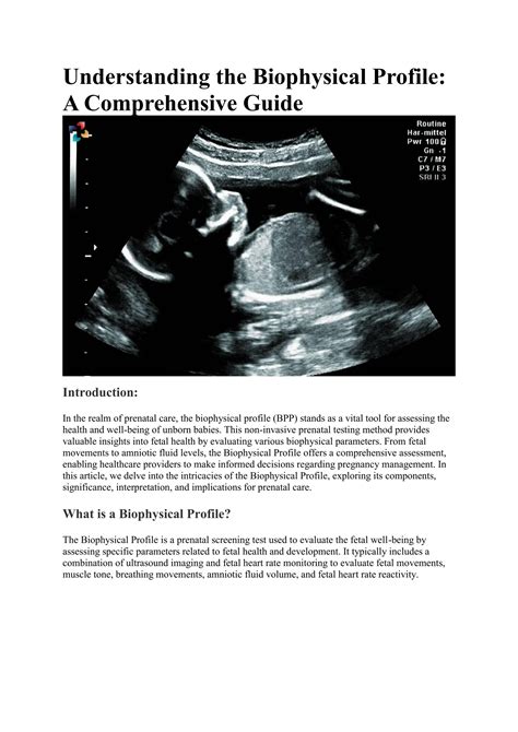 Biophysical Profile Bpp Components Significance Interpretation