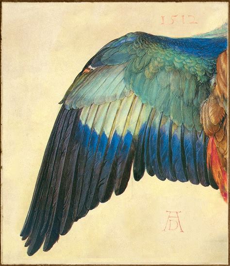 Wing of a Roller, Albrecht Durer, Watercolour, 1512 | Rebrn.com