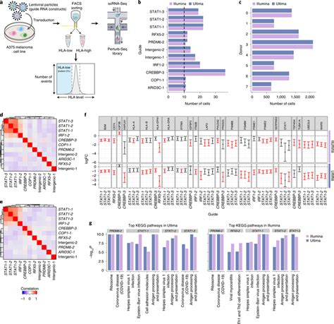 Perturb Seq A Perturb Seq To Find Regulators Of Mhc Class I In