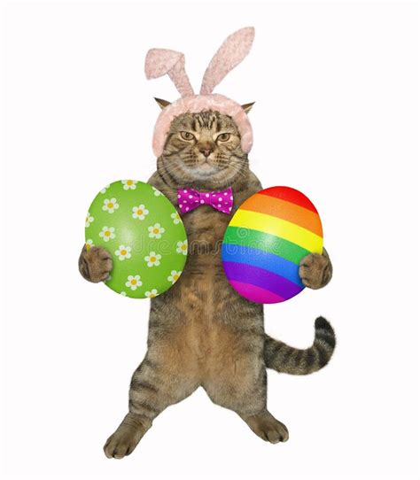 Cat Holds The Easter Egg With A Chick 2 Stock Image Image Of Symbol