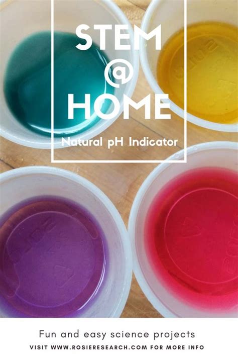 Natural Ph Indicators Make A Ph Indicator Using Beetroot Or Cabbage