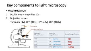 Introduction To Microscopy Pptx