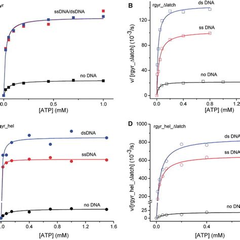 Atpase Activity Steady State Atpase Activity As A Function Of The Atp