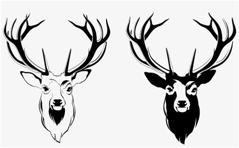 Deer Head Outline Vector