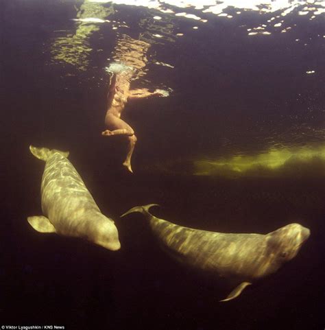 Marine Biologist Natalia Avseenko Swims Naked With Beluga Whales In