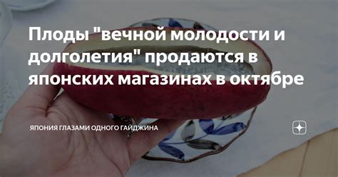 Плоды вечной молодости и долголетия продаются в японских магазинах в