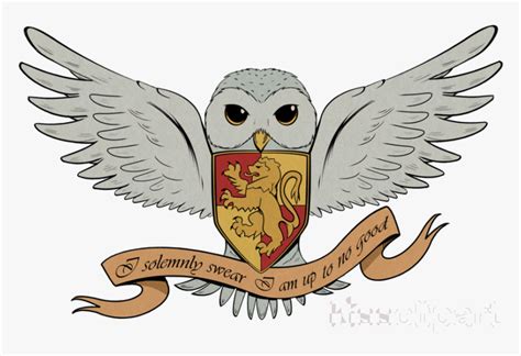 Clipart Hibou Transparent Harry Potter Hedwige Dessin Hd Png