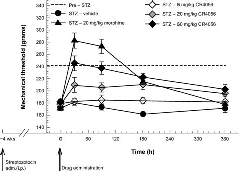 Streptozotocin Stz Induced Neuropathic Diabetic Type I Pain In