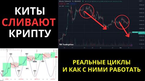 Крипту СЛИВАЮТ толпе! Реальные рыночные циклы - как вами манипулирует и ...