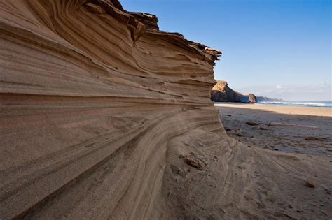 Dunas F Siles Cerca Del Mar Foto Premium