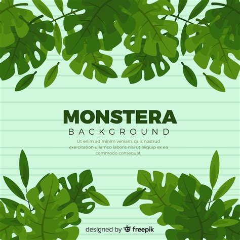 Fondo Marco De Hojas De Monstera Dibujadas A Mano Vector Gratis