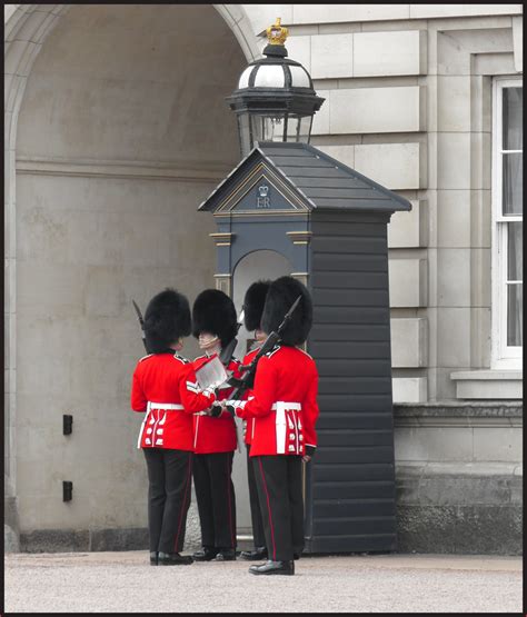 wache  buckingham palast foto bild london world rot bilder auf