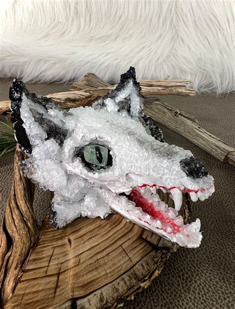 Arctic Fox Skull With Nature Stand Etsy