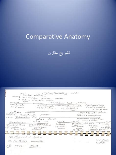 Comparative Anatomy Pdf