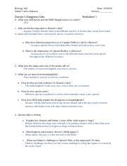 Darwin S Dangerous Idea Worksheets