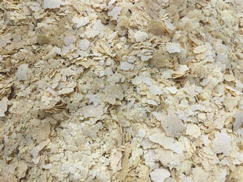 Nutritional Yeast - The Health Nut Albany