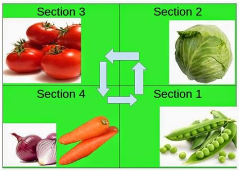 Crop Rotation You Must Know about this | Aquaponics Build