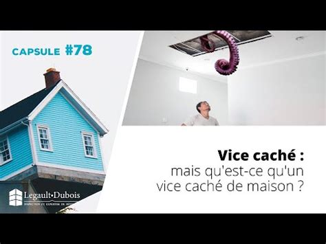 Chronique Habitation Vice Cach Mais Quest Ce Quun Vice Cach