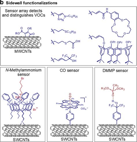 Figure 28 from Carbon Nanotube Chemical Sensors. | Semantic Scholar