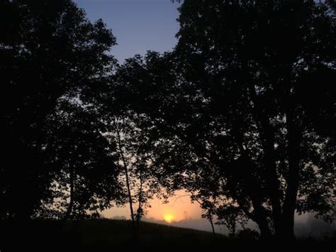 Crow's Nest: Sunday Sunrise - Natural Lands