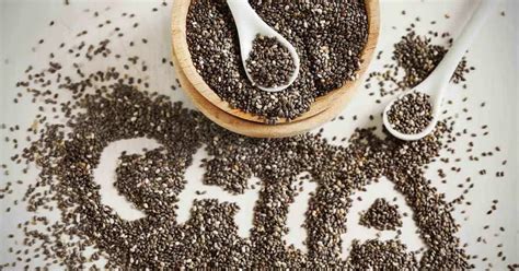 The Amazing Benefits Of Eating Chia Seeds