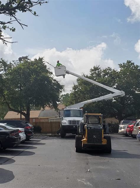 Tree Masters - Wilmington, NC - Tree Removal