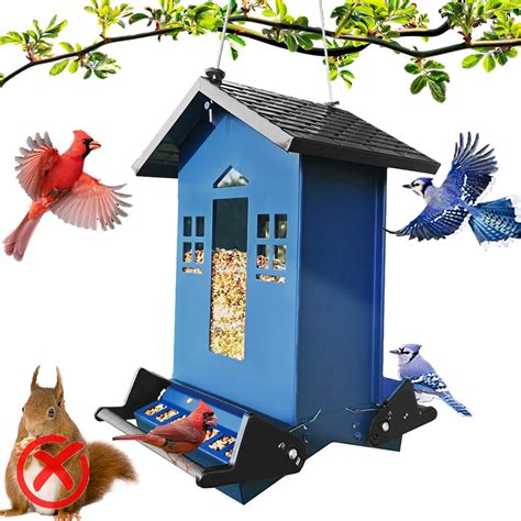 Amazon Wildpark Squirrel Proof Bird Feeder For Outdoors Hanging