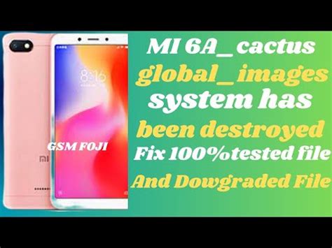 MI 6A Cactus Global Images Redmi 6A System Has Been Been Destroyed